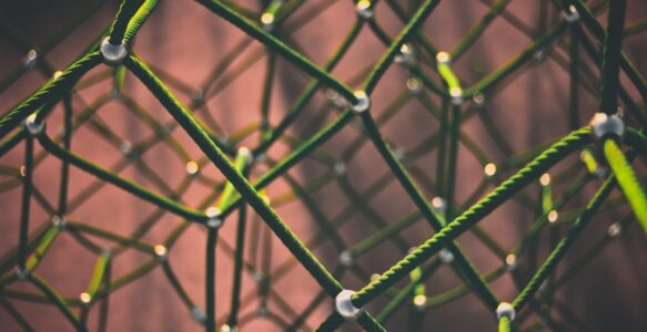 Achiziții publice, concesiuni, PPP